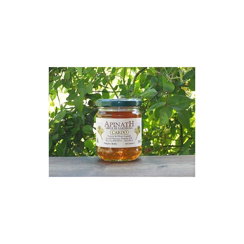 Thistle honey - Apinath