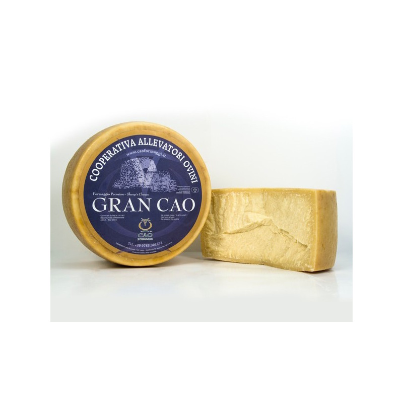 Pastore Sardo - Cao Formaggi Pastore Sardo - Cao Formaggi