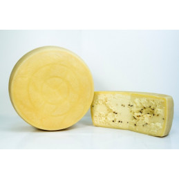 Molissardo Pecorino al tartufo  - Cao Formaggi