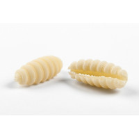 Malloreddus artigianali biologici - Pastificio dei Profeti Malloreddus artigianali biologici - Pastificio dei Profeti