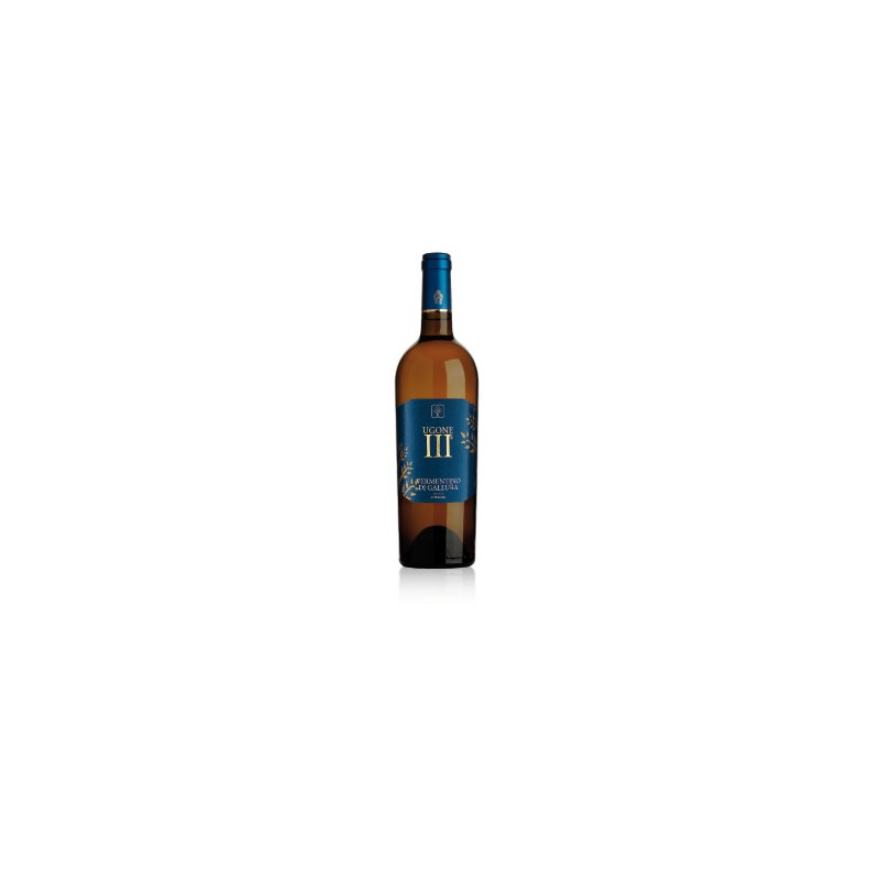 Ugone III - Cantina della Vernaccia