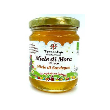 Miele bio di cardo - Terrantiga