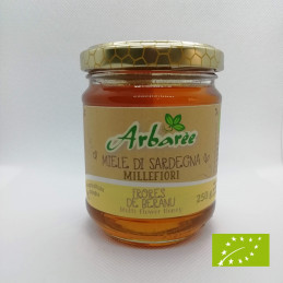 Organic Wildflower Sardinian honey - Arbaré
