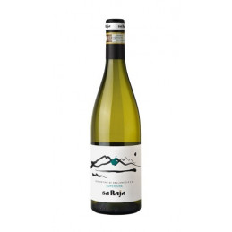 Kintari Vermentino di Gallura Docg - Sa Raja