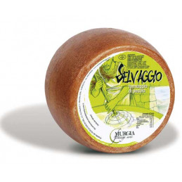Selvaggio - Murgia Formaggi