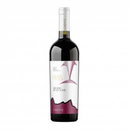 copy of Cagnulari - Carpante
