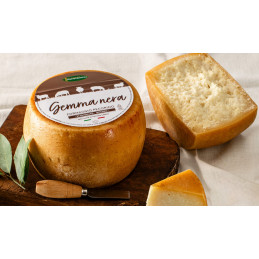 Gemma Nera - Pecorino -...