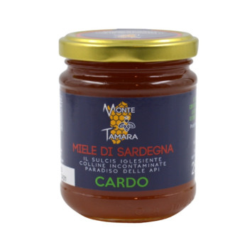 Miele di Cardo - Vasetto 250 gr - Monte Tamara