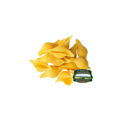 Conchiglioni - Pasta all’Uovo Marchigiana - Pacco da 250 g - Marilungo