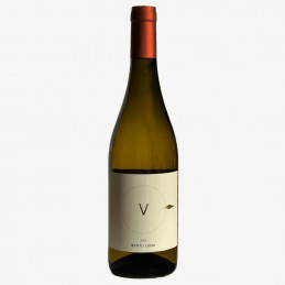 copy of Pontis, Vernaccia...