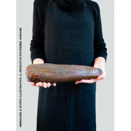 Bresaola de thon - Tharros...