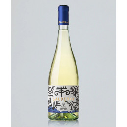Saldenya - Vermentino di...