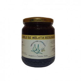 Organic Honeydew Honey –...