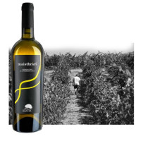 Maisthràri - Vermentino di Sardegna D.O.C. - Vino Bianco - Prodotto Tipico Sardo - Bottiglia 0,75 L - Bentu
