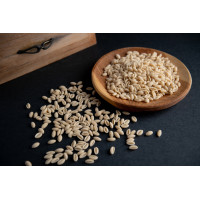 Malloreddus Biologici Khorasan Kamut® - Pasta di Grano Duro Kamut - Prodotto Tipico Sardo - Pacco da 500 g - Artinpasta Malloreddus Biologici Khorasan Kamut® - Pasta di Grano Duro Kamut - Prodotto Tipico Sardo - Pacco da 500 g - Artinpasta