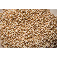 Fregola Tostata Biologica - Pasta di Grano Duro - Prodotto Tipico Sardo - Box 24 x 500 gr - Artinpasta Fregola Tostata Biologica - Pasta di Grano Duro - Prodotto Tipico Sardo - Box 24 x 500 gr - Artinpasta