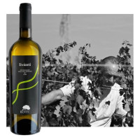 Livànti - Vino Bianco - Isola Dei Nuraghi I.G.T. - Prodotto Tipico Sardo - Bottiglia 0,75 L - Bentu Livànti - Vino Bianco - Isola Dei Nuraghi I.G.T. - Prodotto Tipico Sardo - Bottiglia 0,75 L - Bentu