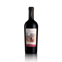 Barrile - Isola dei Nuraghi I.G.T. - Vino Rosso - Prodotto Tipico Sardo - Bottiglia 0,75 L - Contini