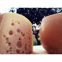 Greviera di Ozieri - Formaggi sardi Greviera di Ozieri - Formaggi sardi