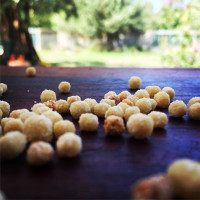 Fregula - Kentos Fregula - Kentos