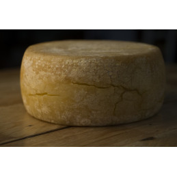 Fresh pecorino cheese - Su Pranu