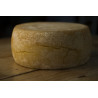 Fresh pecorino cheese - Su Pranu