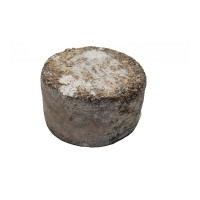 Formaggio erborinato misto capra - Monte Accas Formaggio erborinato misto capra - Monte Accas