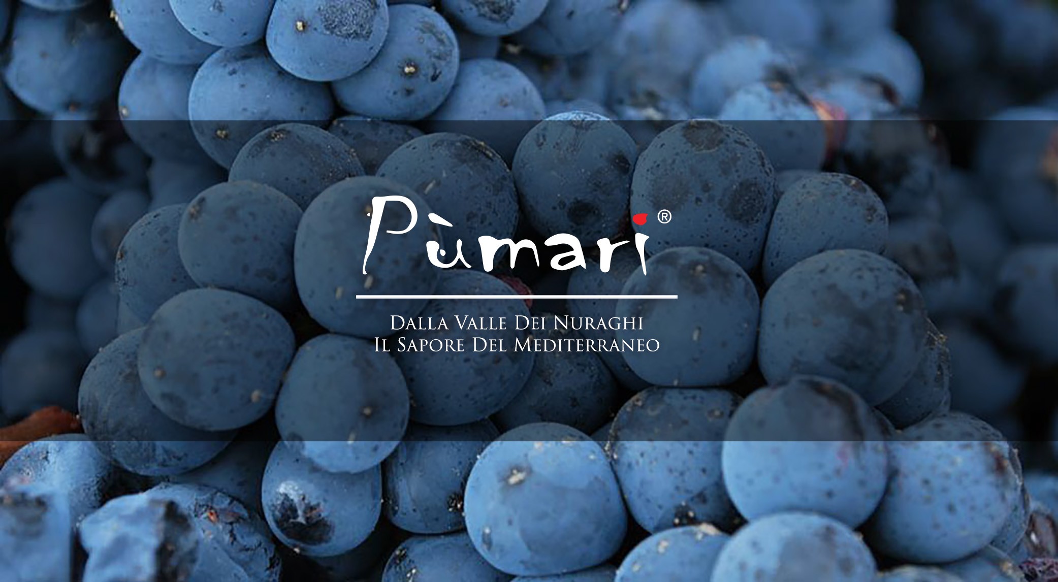 Cantina Pumarì 