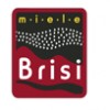 Brisi