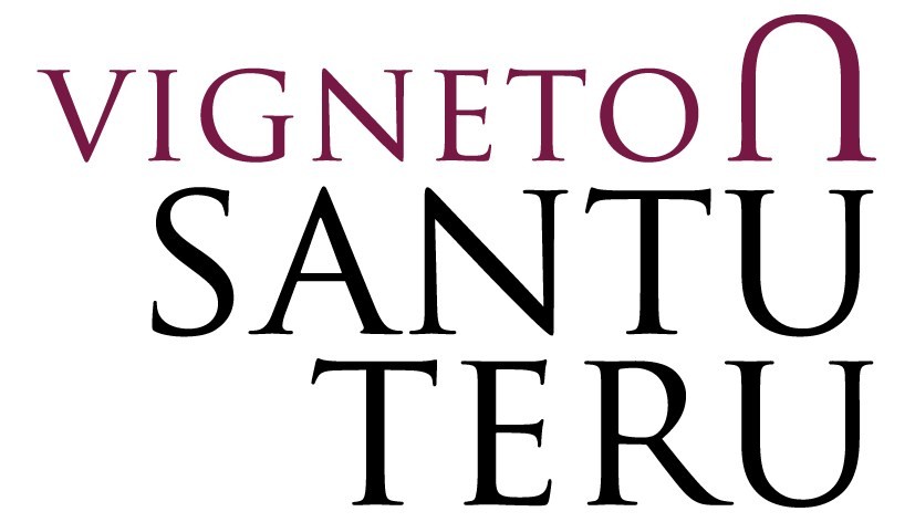 Vigneto Santu Teru