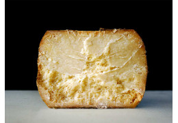 Il Respiro della Barbagia: Giuseppe Cugusi e l’Anima del Fiore Sardo